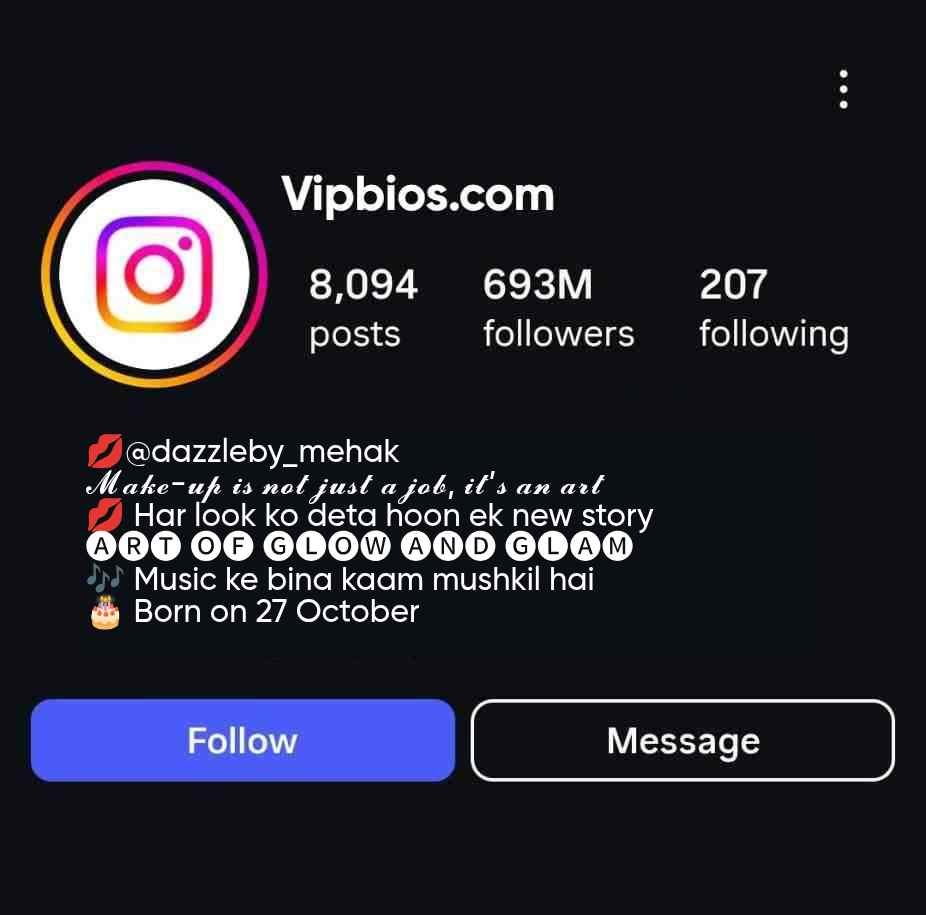 insta professional makeup artist bio