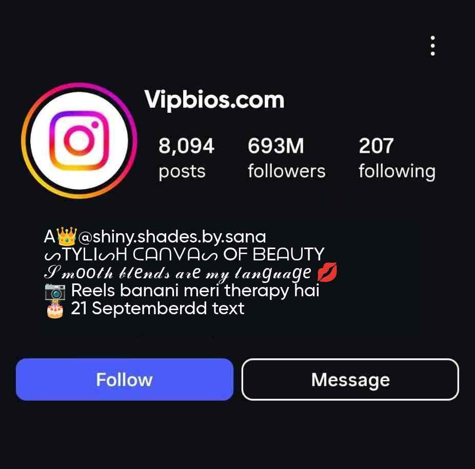 Stylish makeup artist bio 