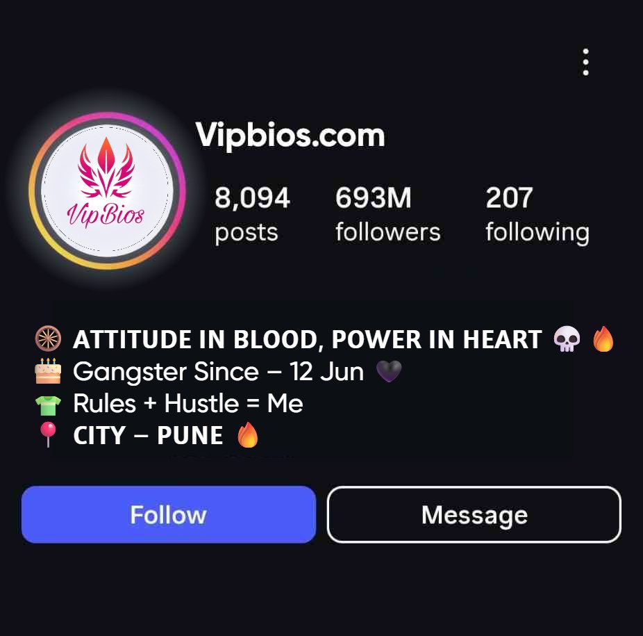 Gangster Instagram Bio In Hindi