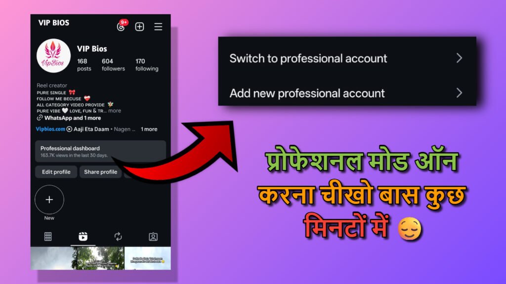 Instagram Profile Ko Professional Kaise Banaye?