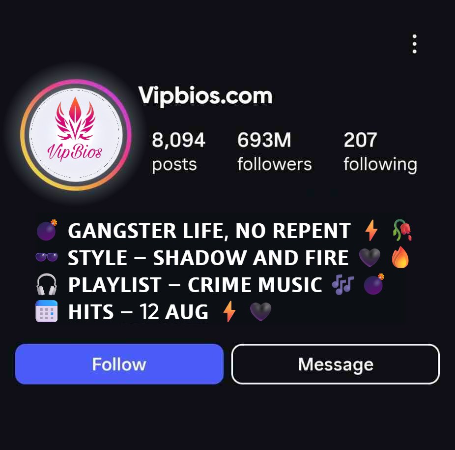 Stylish Gangster Bio For Instagram