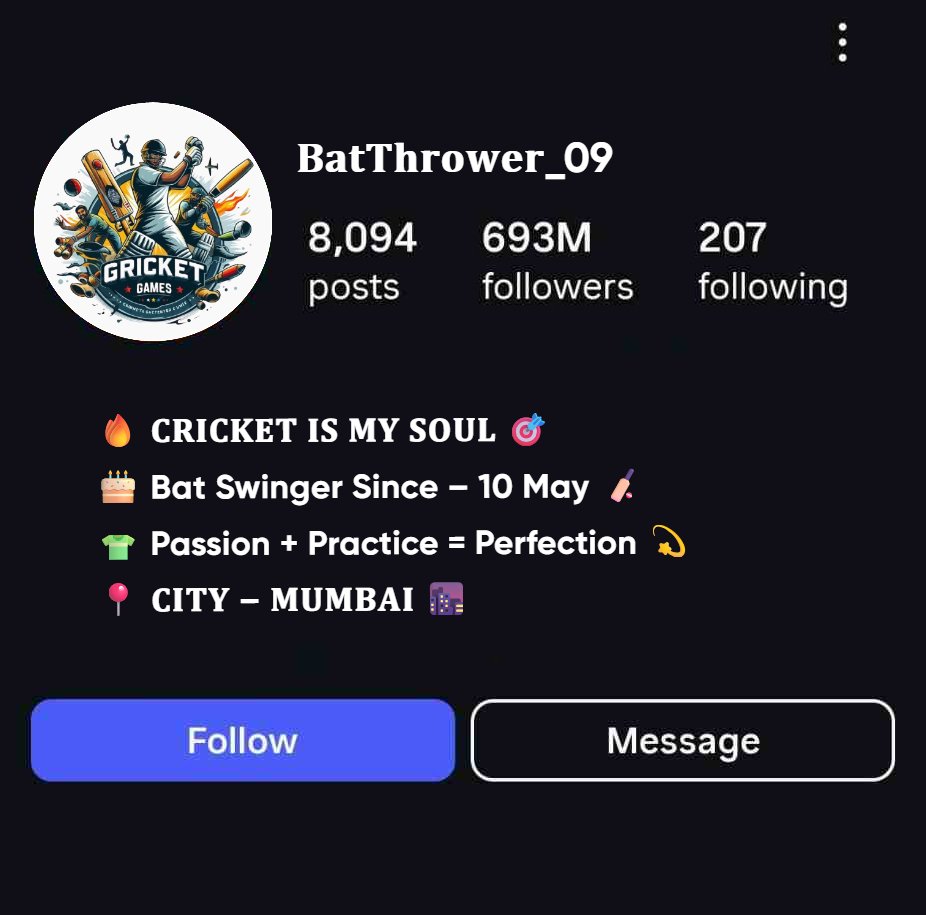 Aesthetic Cricket Bio For Instagram