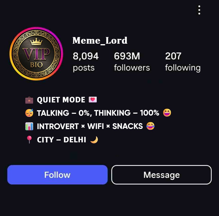 Funny Introvert Instagram Bio For Boys